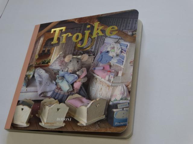 DSC08150 Livre tout carton